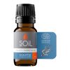 Ulei Esențial Eucalipt 10 ml SOiL