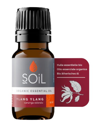ULEIURI ESENTIALE 60014863 Ulei esential Ylang front