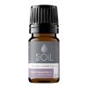 Ulei Esențial Mușețel Roman 2.5 ml SOiL