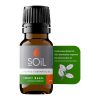 Ulei Esențial Busuioc 10 ml SOiL