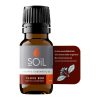 Ulei Esențial Cuișoare 10 ml SOiL