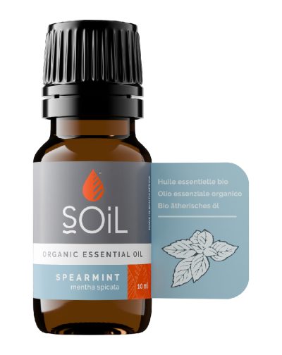 ULEIURI ESENTIALE 60025593 Ulei esential Menta Creata front