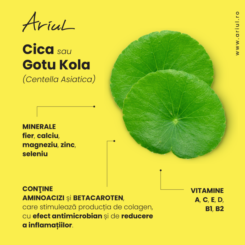 centella asiatica