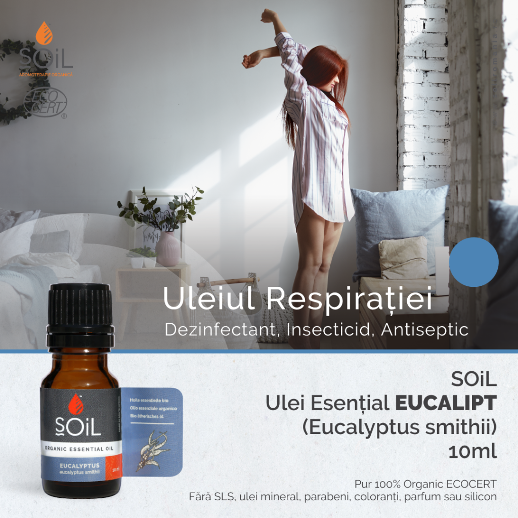 23817 produs eucalipt