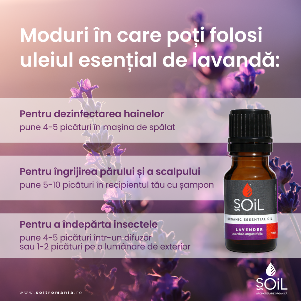 23619 produs lavanda