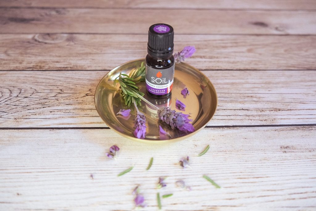 2538Fb lavanda