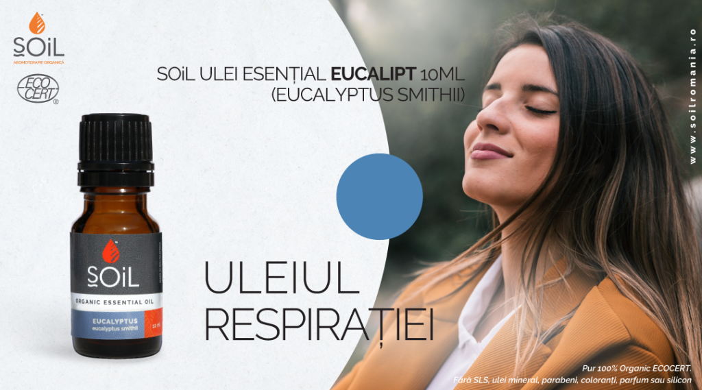 92012 Produs Eucalipt INSTA