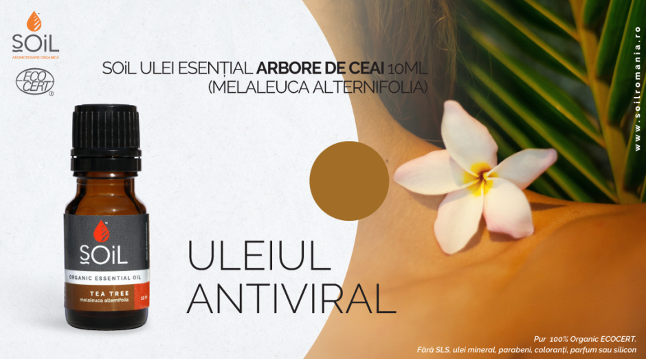 uleiuri esentiale organice Arbore de ceai