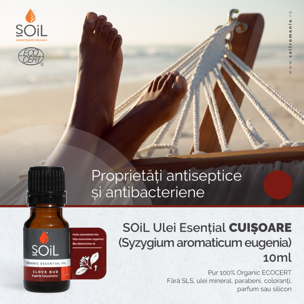 23717 produs cuisoare