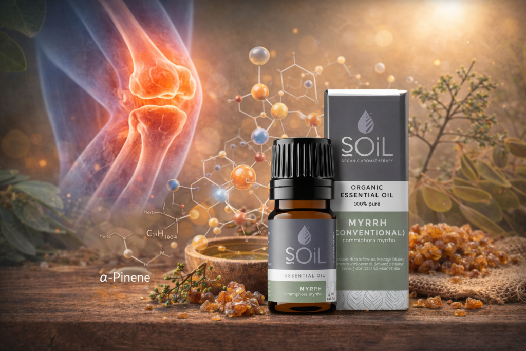 Cum acționează un ulei pentru articulații