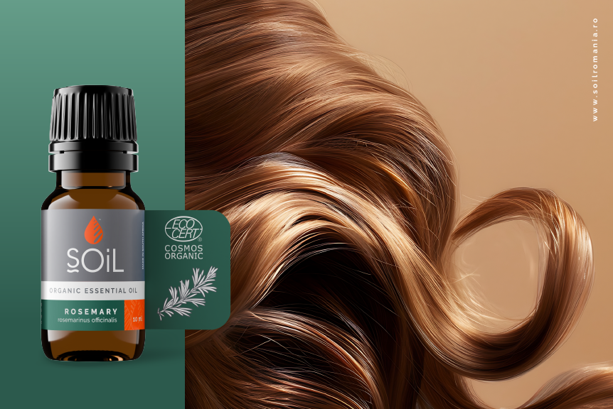 26411Insta articol 1