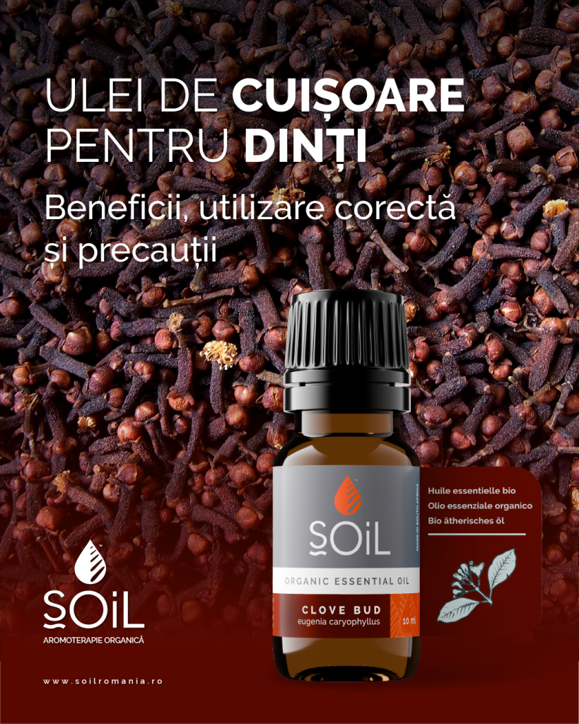 260710 cuisoare 1